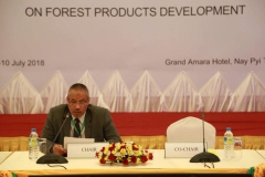 The 21st Meeting of AWG FPD 2018