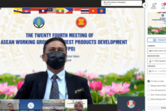 The 24th Meeting of AWG FPD 2021