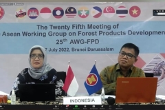 The 25th Meeting of AWG FPD 2022